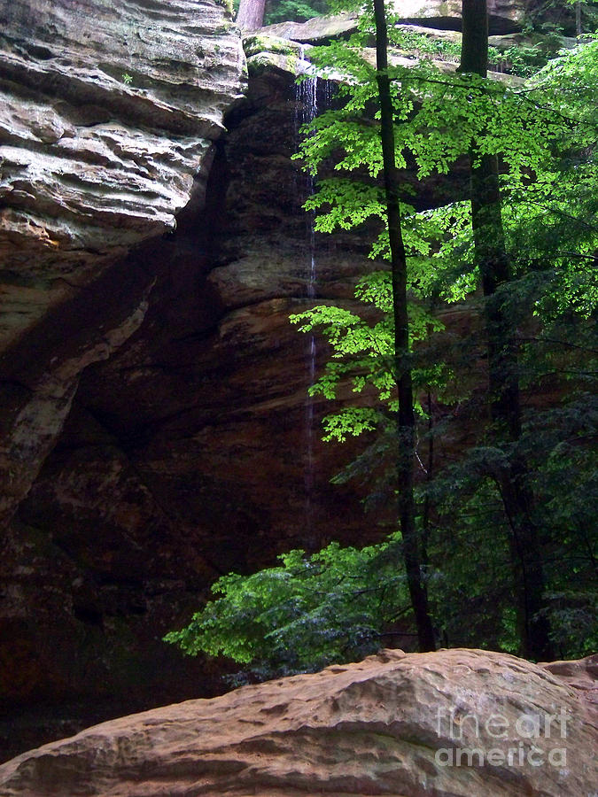 Waterfall at Ash Cave Photograph by Charles Robinson