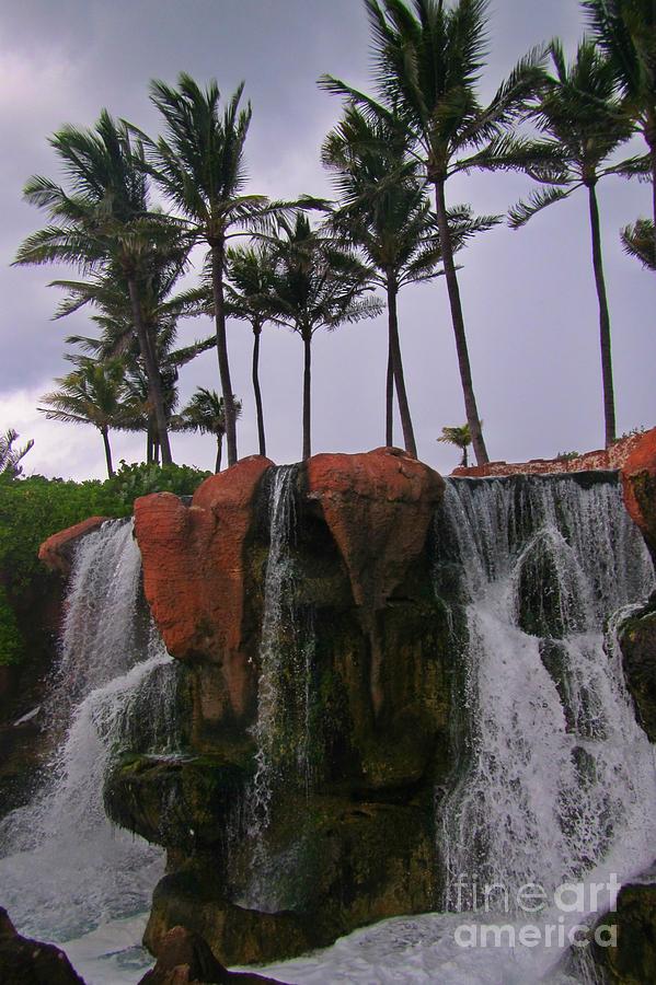 Waterfall Photograph - Waterfall at Atlantis by John Malone