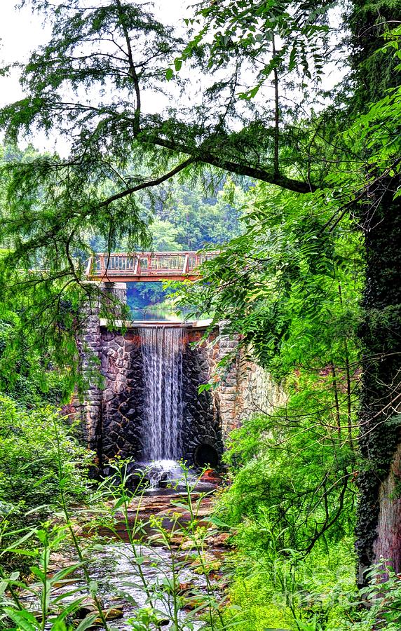 Waterfall At Biltmore Estate Photograph by Savannah Gibbs