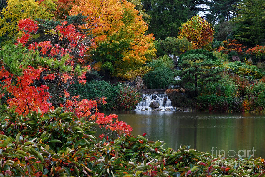 Waterfall at Japanese Garden Photograph by Nancy Mueller
