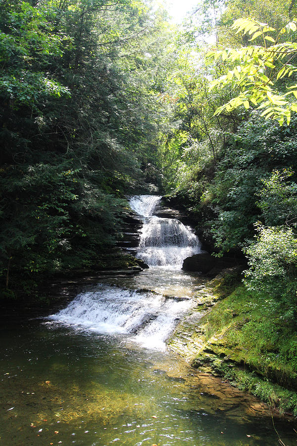 Waterfall at Robert Treman State Park Photograph by Trina  Ansel