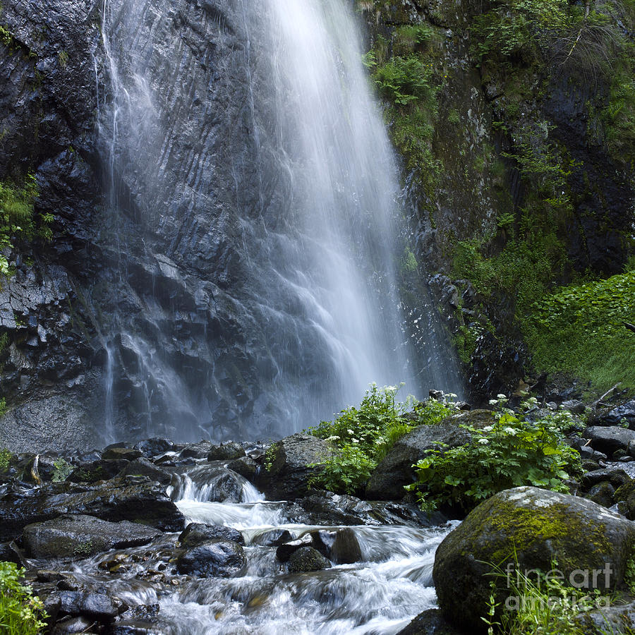Nature Photograph - Waterfall by Bernard Jaubert