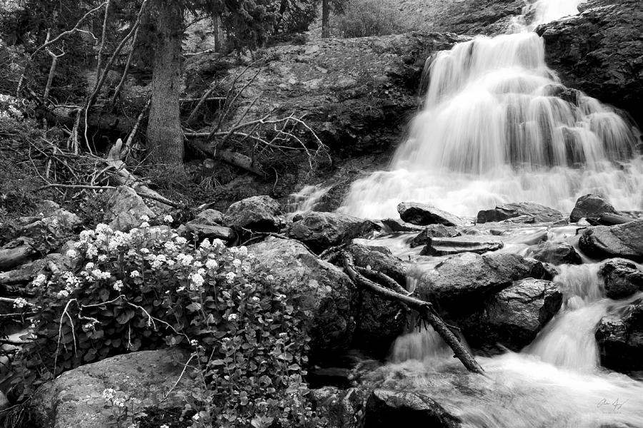 Waterfall Black and White Photograph by Aaron Spong