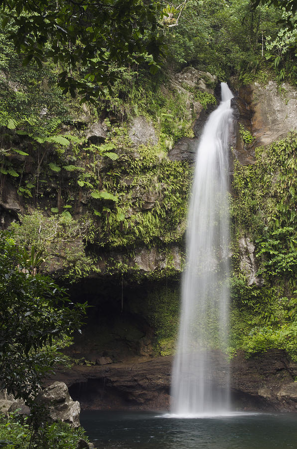 Waterfall Bouma Np Fiji Photograph by Pete Oxford