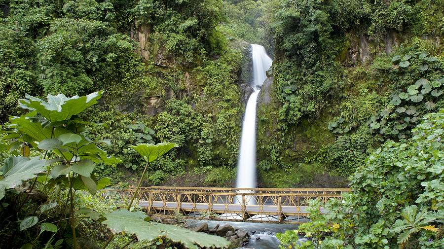 Waterfall Bridge Photograph by Brian Kamprath