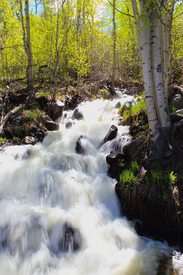 Rocky Mountain National Park Photograph - Waterfall By The Aspens by Shane Bechler