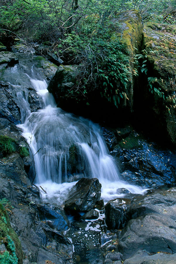 Waterfall, California Photograph by David Weintraub