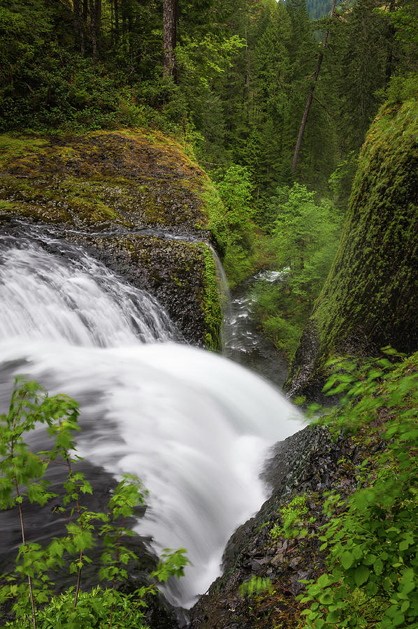 Waterfall Cascading Down Narrow Forest Photograph by Fotovoyager