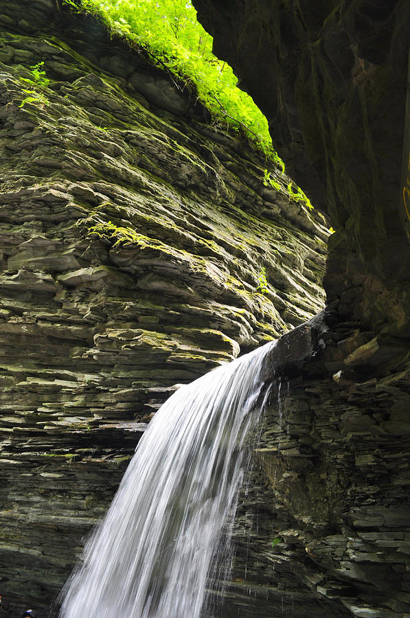 Nature Photograph - Waterfall by David Ziegler