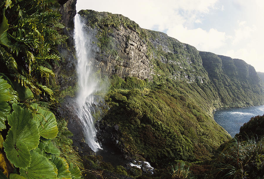 Waterfall Dropping Into Fata Forest Photograph by Tui De Roy