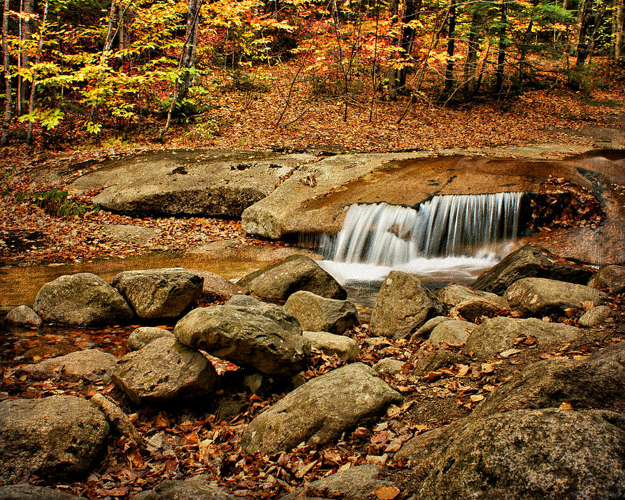 Fall Photograph - Waterfall - Flume Gorge - White Mountains by Nikolyn McDonald