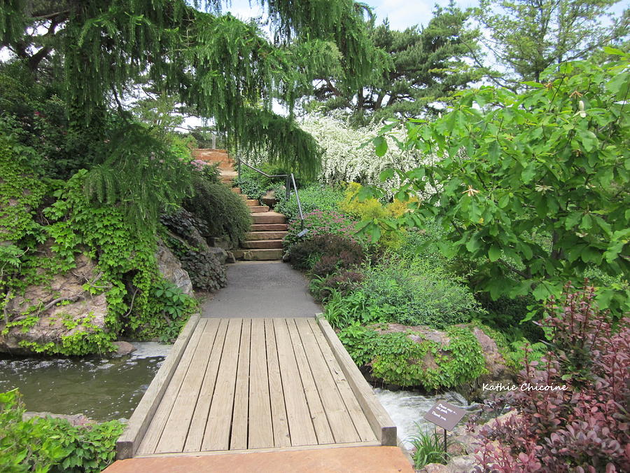 Waterfall Garden Path Photograph by Kathie Chicoine