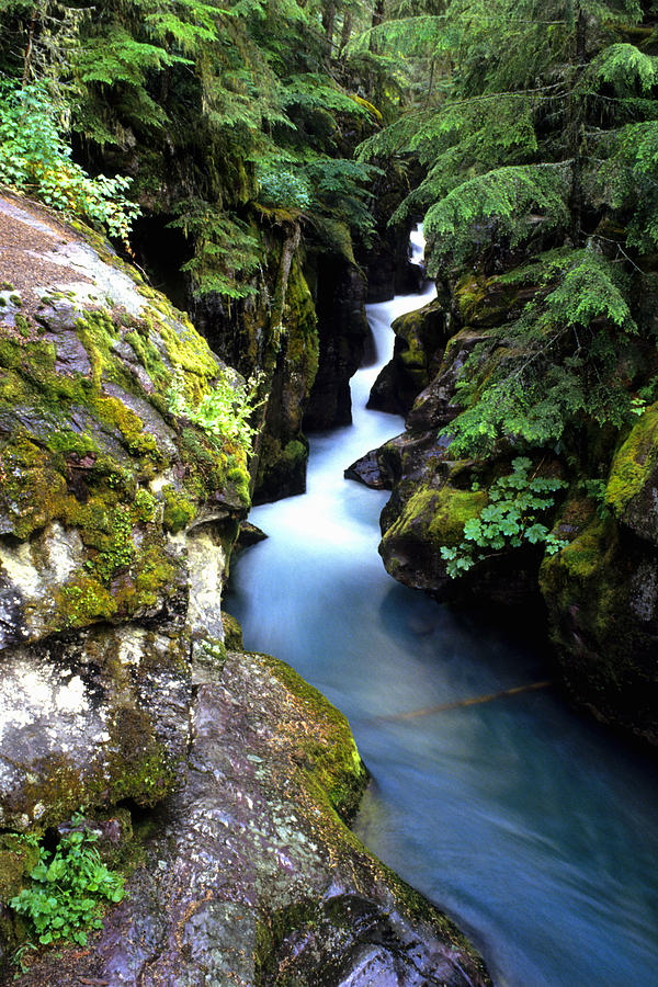 Waterfall, Glacier National Park Photograph by Bill Bachmann