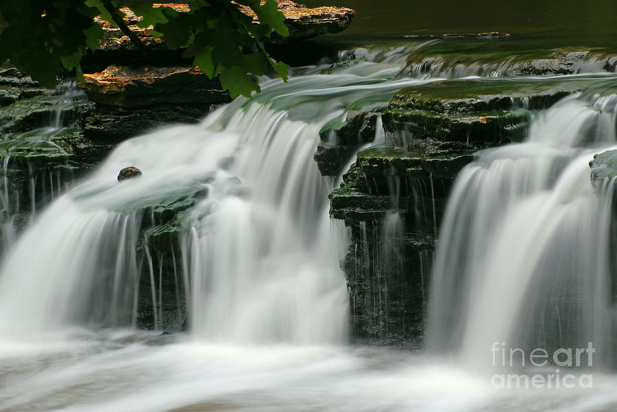 Waterfall Glen Photograph by Marta Kochno | Fine Art America