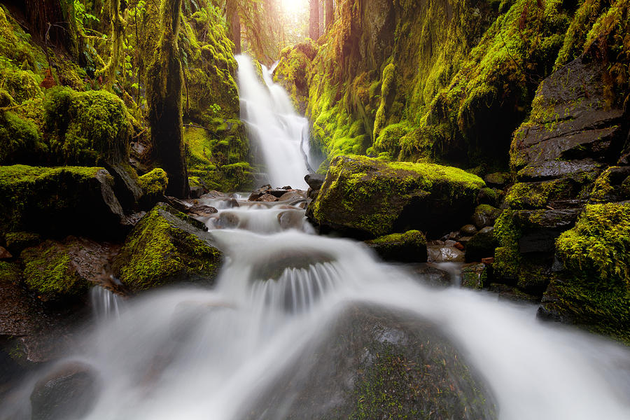 Waterfall Glow Photograph by Andrew Kumler