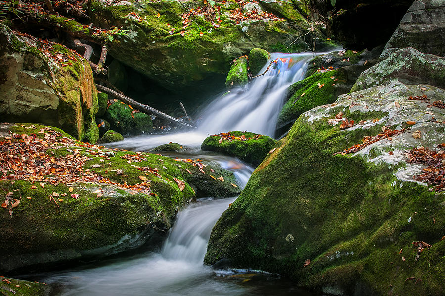 Waterfall Great Smoky Mountains  #1 Photograph by Rich Franco
