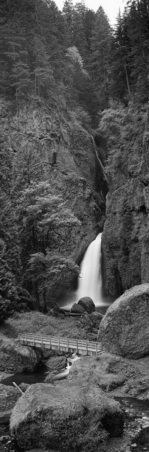 Black And White Photograph - Waterfall In A Forest, Columbia River by Panoramic Images