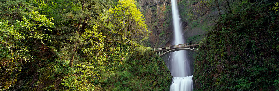 Portland Photograph - Waterfall In A Forest, Multnomah Falls by Panoramic Images