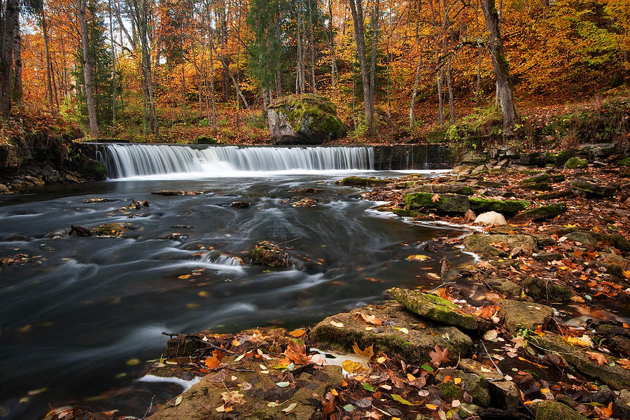 Fall Photograph - Waterfall in autumn by Anna Grigorjeva