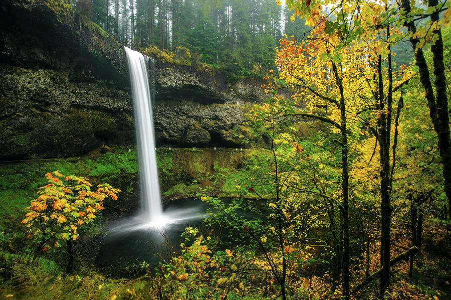 Waterfall In Autumn Photograph by Piriya Photography