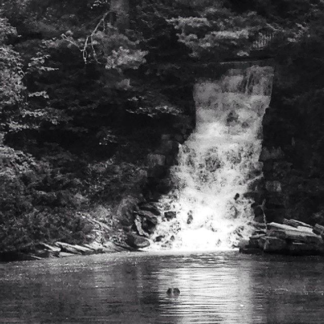 Nature Photograph - Waterfall In Black & White. #waterfall by Traci Law