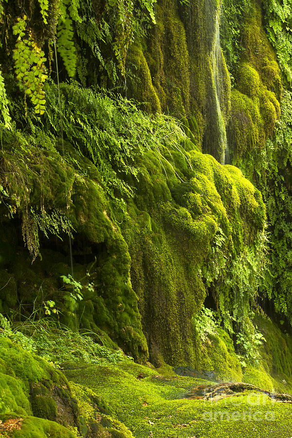 Waterfall in green Photograph by Bryan Keil