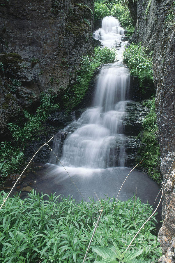 Waterfall In Idaho Photograph by William H. Mullins