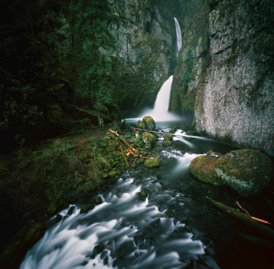 Waterfall In Lush Gorge Photograph by Danielle D. Hughson