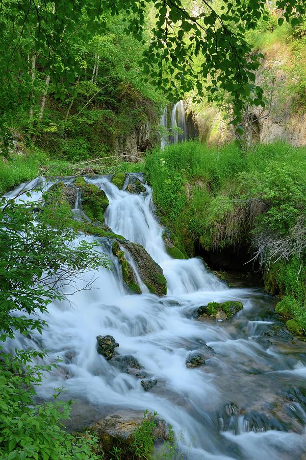 Waterfall In Spearfish Cayon South Photograph by Groveb