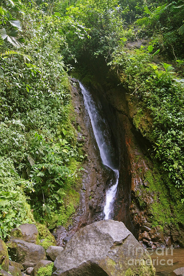 waterfall in the Costa Rica jungle Photograph by Rudi Prott