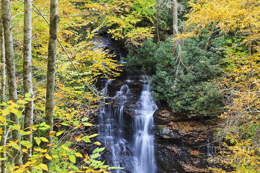 Waterfall in the Fall Photograph by Jill Lang