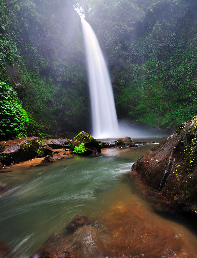 Waterfall In The Jungle Photograph By Nora Carol Sahinun Pixels