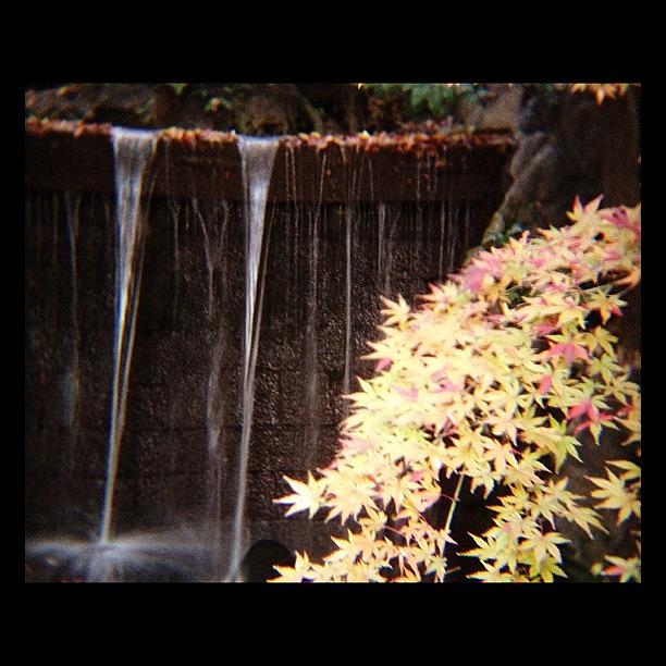 Fall Photograph - Waterfall In The Park Close To The by Saito Hironobu