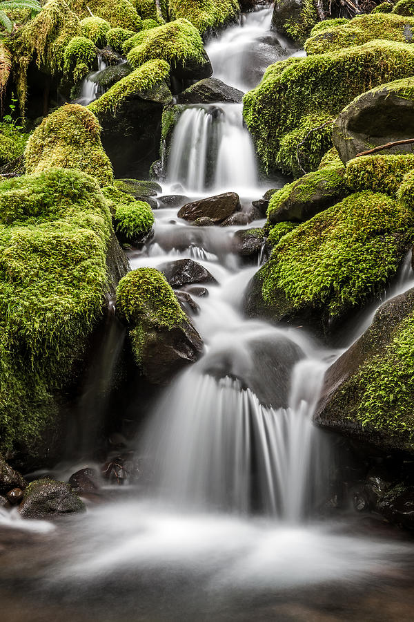 Waterfall in the rain forest Photograph by Pierre Leclerc Photography