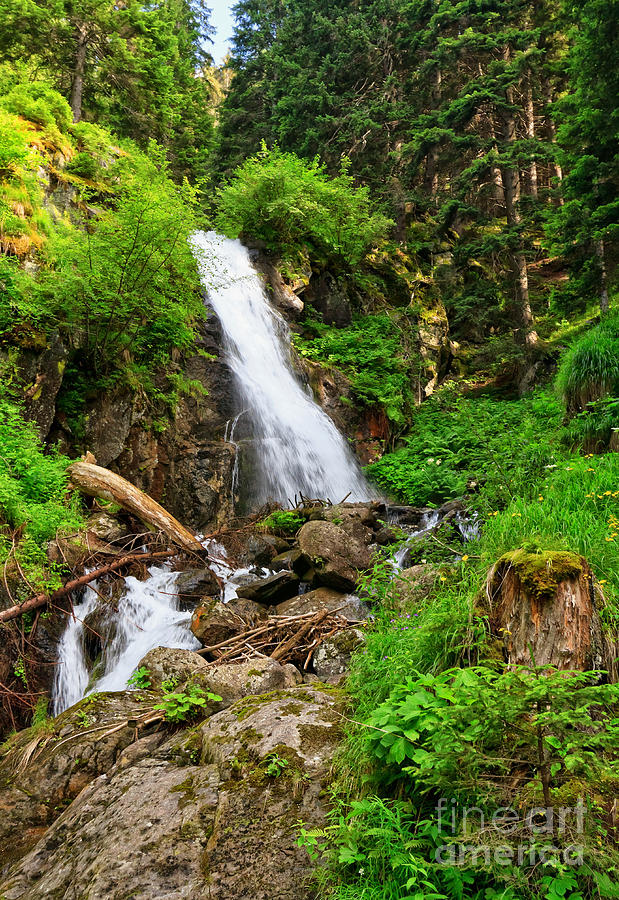 Waterfall in Vermiglio Photograph by Antonio Scarpi