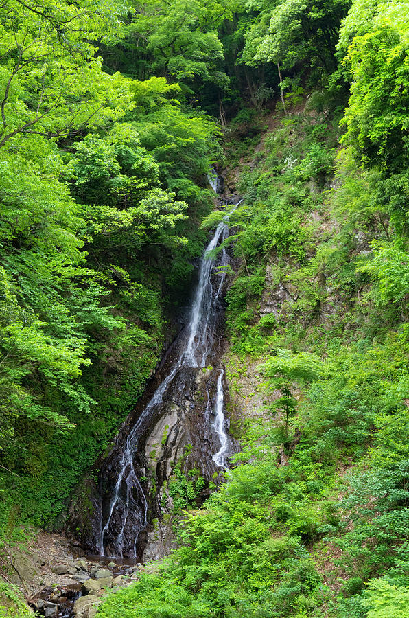 Waterfall Photograph by Manaita