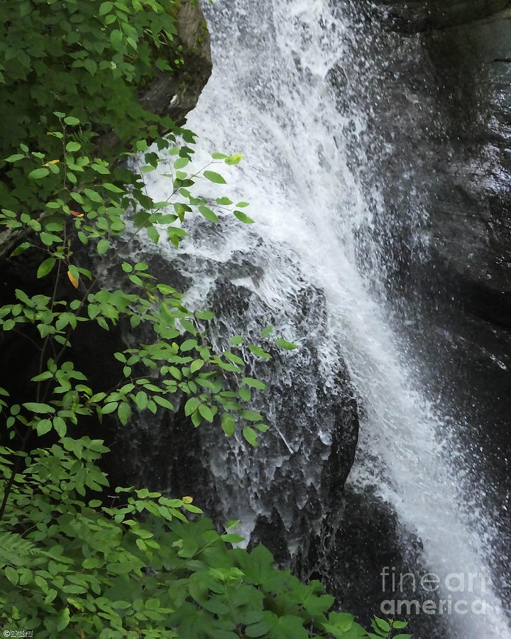 Waterfall Mine Kill State Park New York Photograph by Lizi Beard-Ward