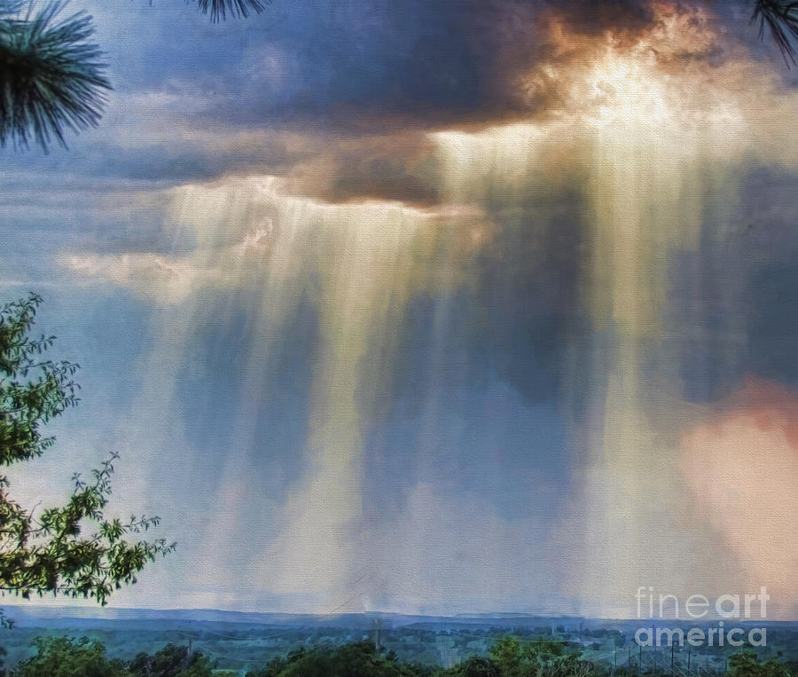 Tree Photograph - Waterfall of Light by Shannon Story