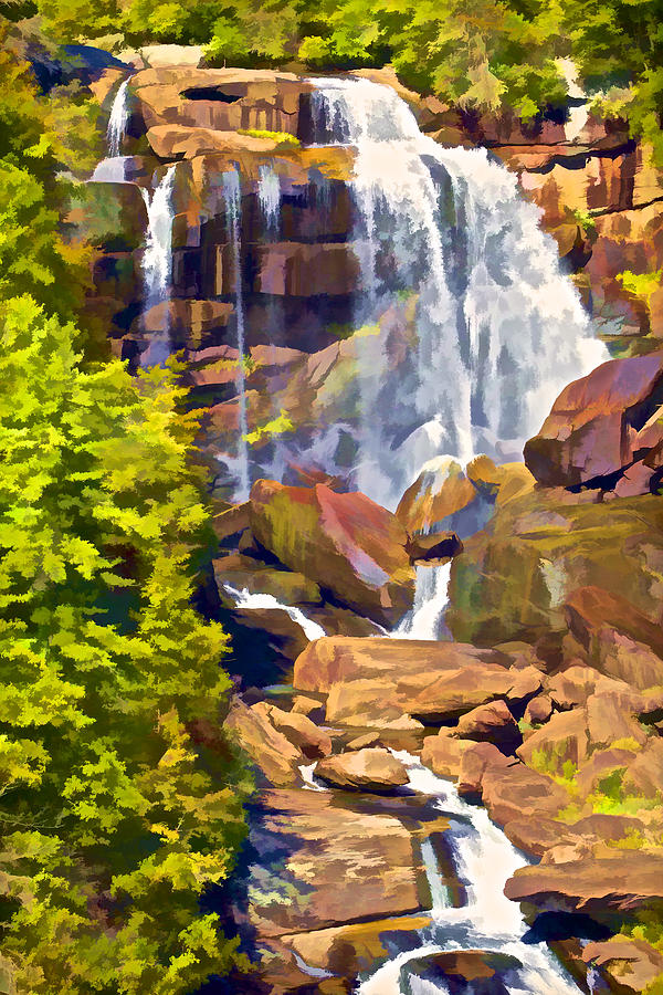 Waterfall of Rural North Carolina Photograph by David Letts