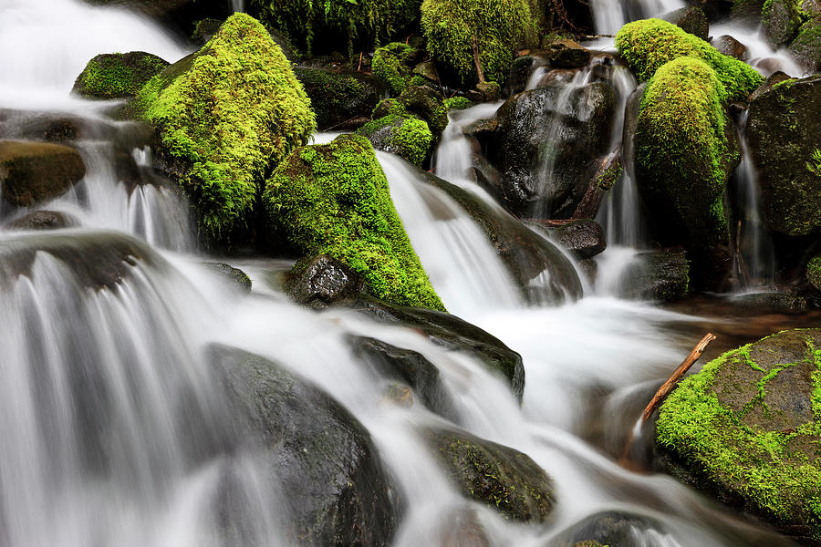 Waterfall Olympic National Park Photograph by Tom Norring - Pixels