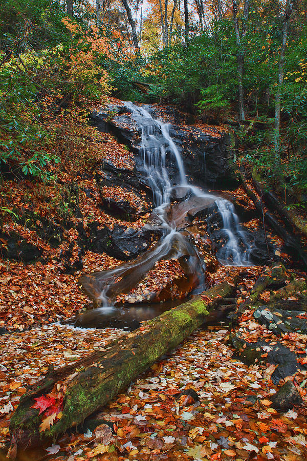 Fall Photograph - Waterfall on Log Hollow by Shari Jardina