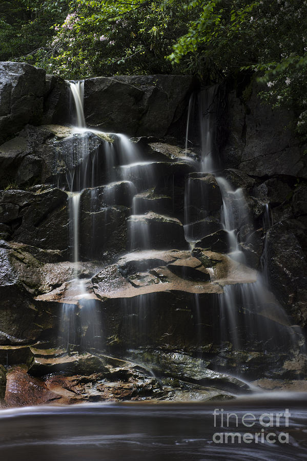 Waterfall on small stream Photograph by Dan Friend