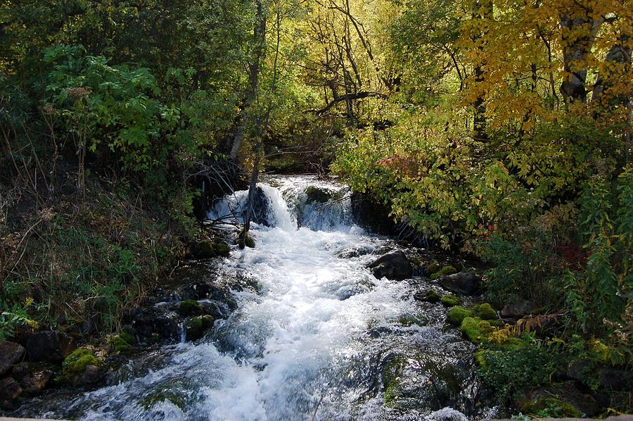 Waterfall on the Little Spearfish I Photograph by Greni Graph
