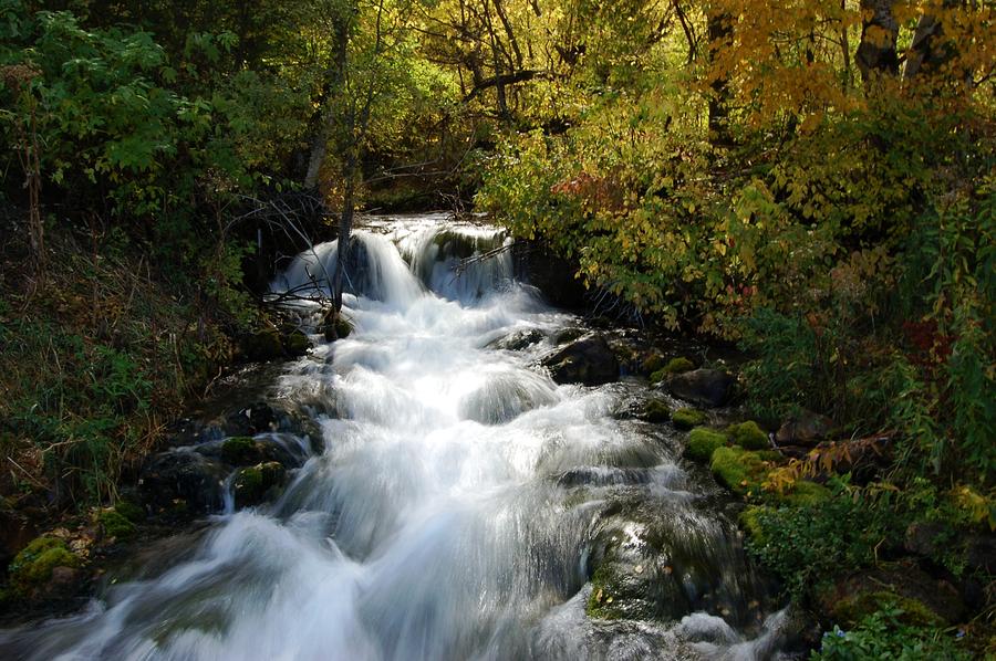 Waterfall on the Little Spearfish IV Photograph by Greni Graph