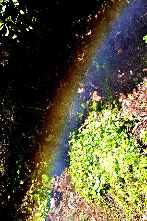 Waterfall Rainbow Photograph by Tara Potts