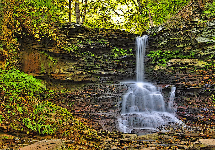 Waterfall Ricketts Glen State Park Pennsylvania Photograph By A 