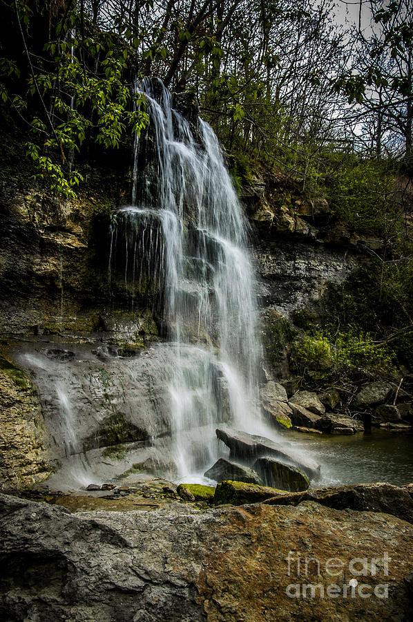 Waterfall Photograph by Ronald Grogan