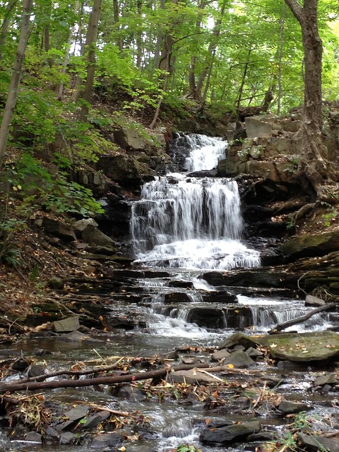 Waterfall Photograph by Shelly Maritzer-Lawrence - Fine Art America