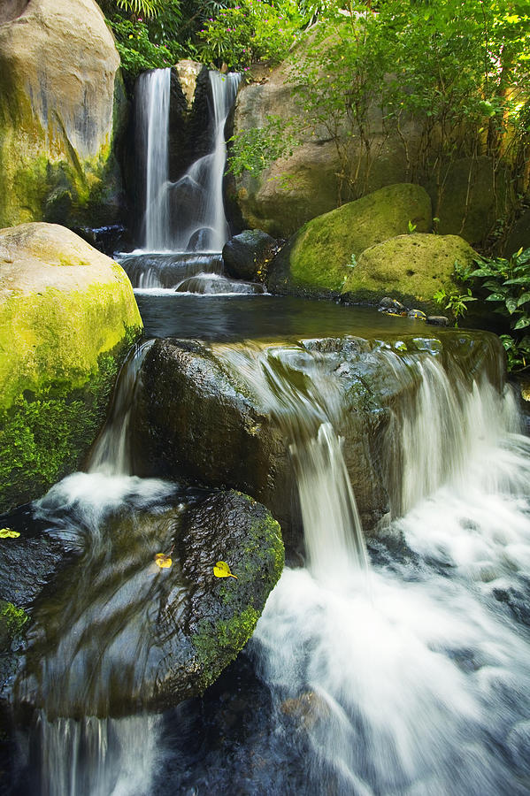 Waterfall Stream Photograph by Ron Dahlquist - Printscapes
