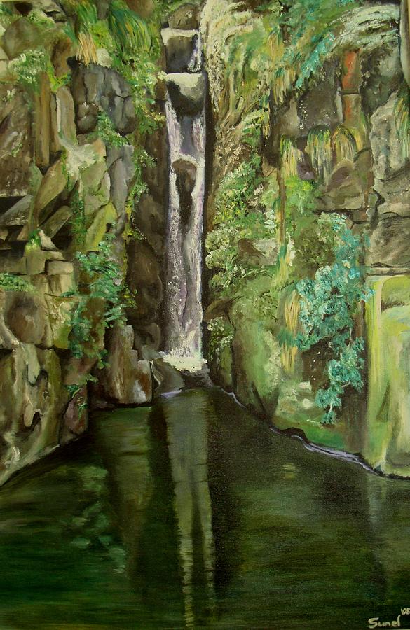 Waterfall Painting by Sunel De Lange
